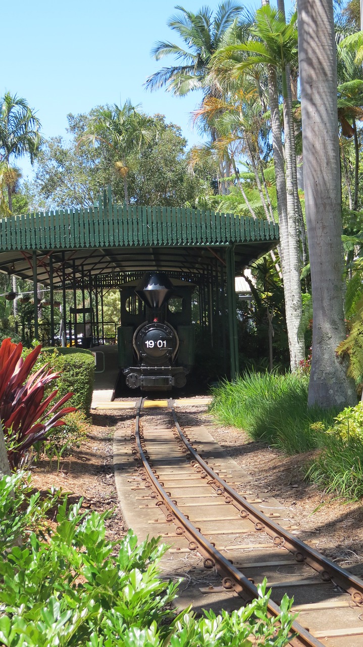 steam locomotive subtropical garden free photo