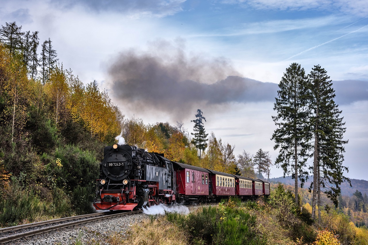 steam locomotive in the resin railway free photo