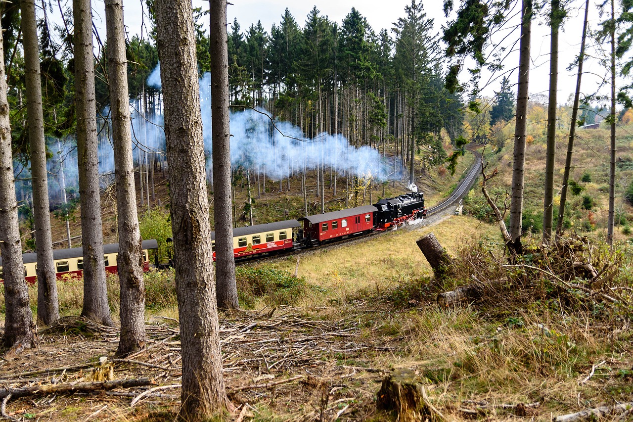 steam locomotive in the resin railway free photo
