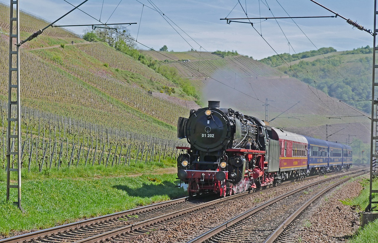 steam locomotive  vineyards  saar valley free photo