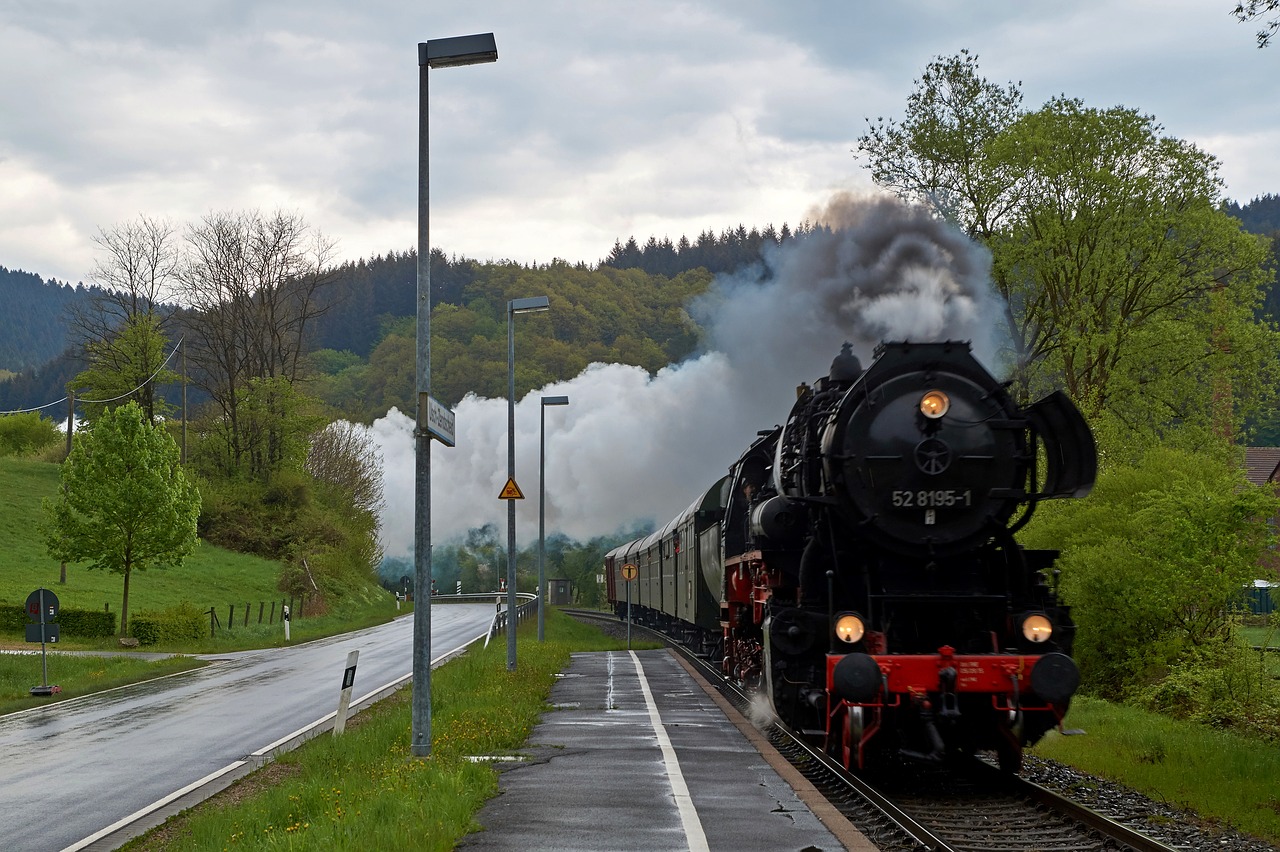 steam locomotive  railway station  nature free photo