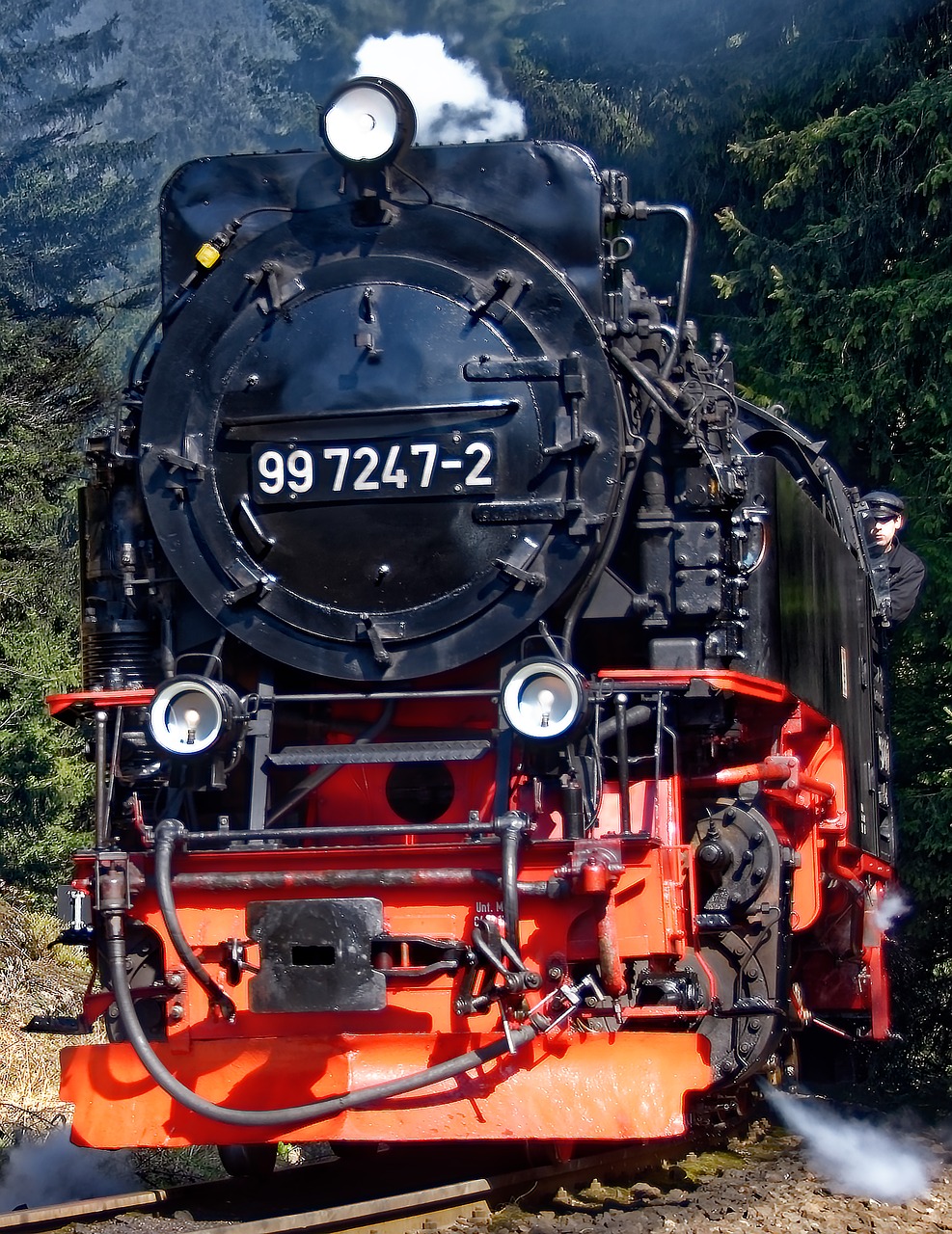 steam locomotive  narrow gauge railway  resin free photo