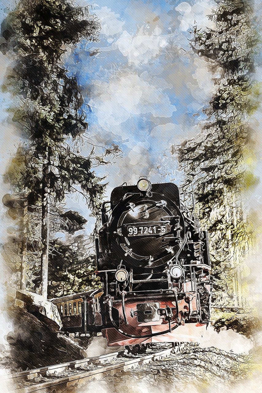 steam locomotive  small tracks  autumn free photo