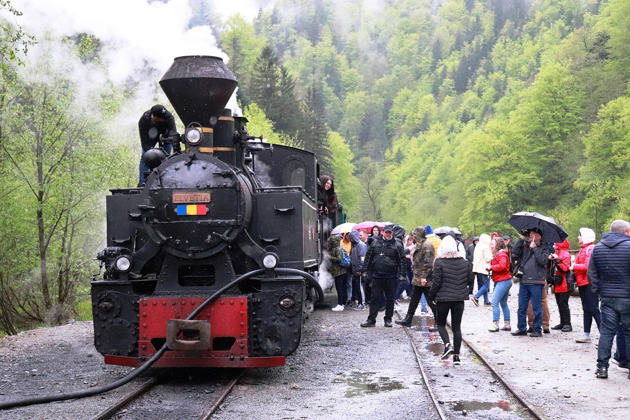 steam train  train  transport free photo