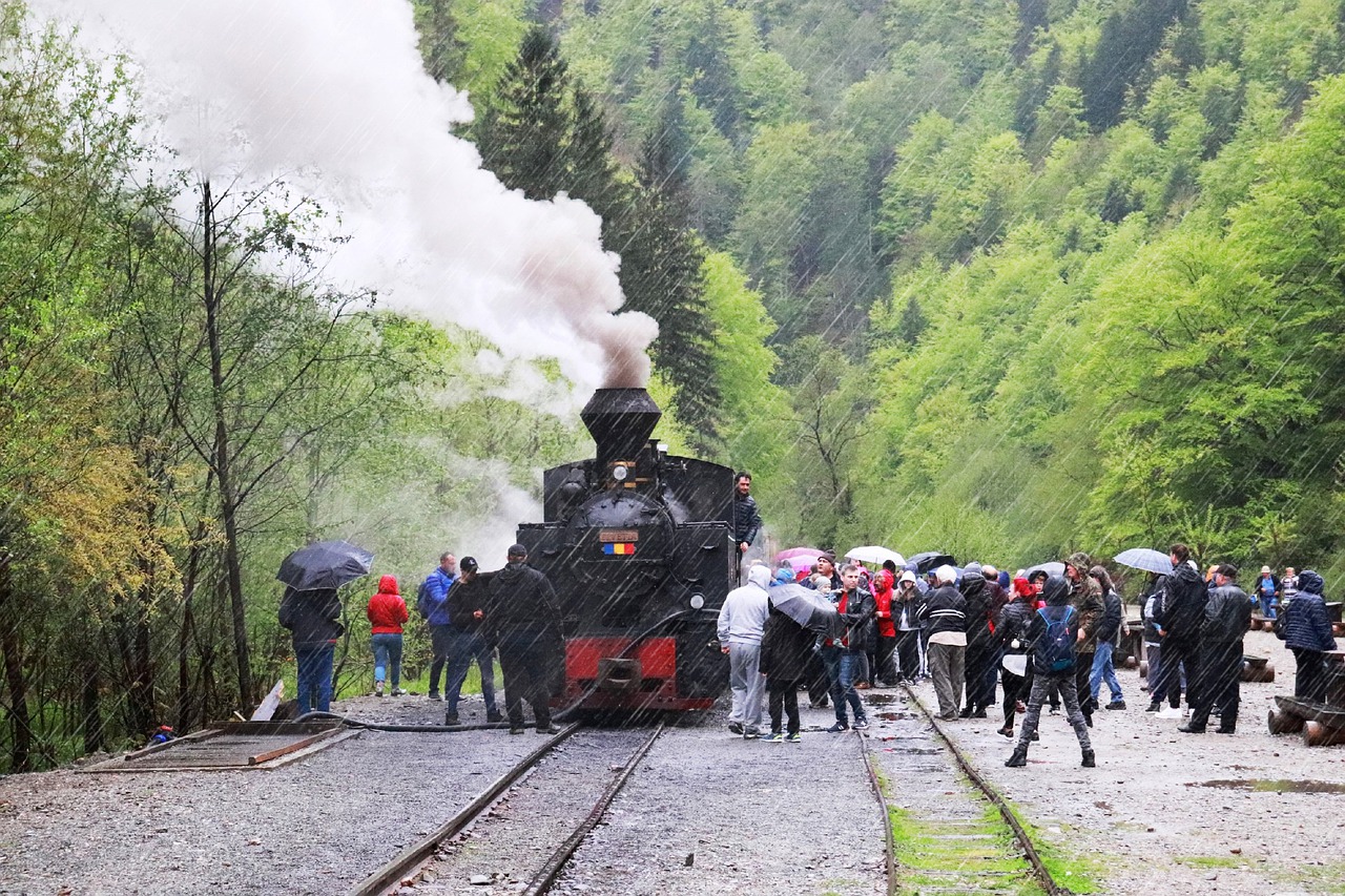 steam train  train  transport free photo