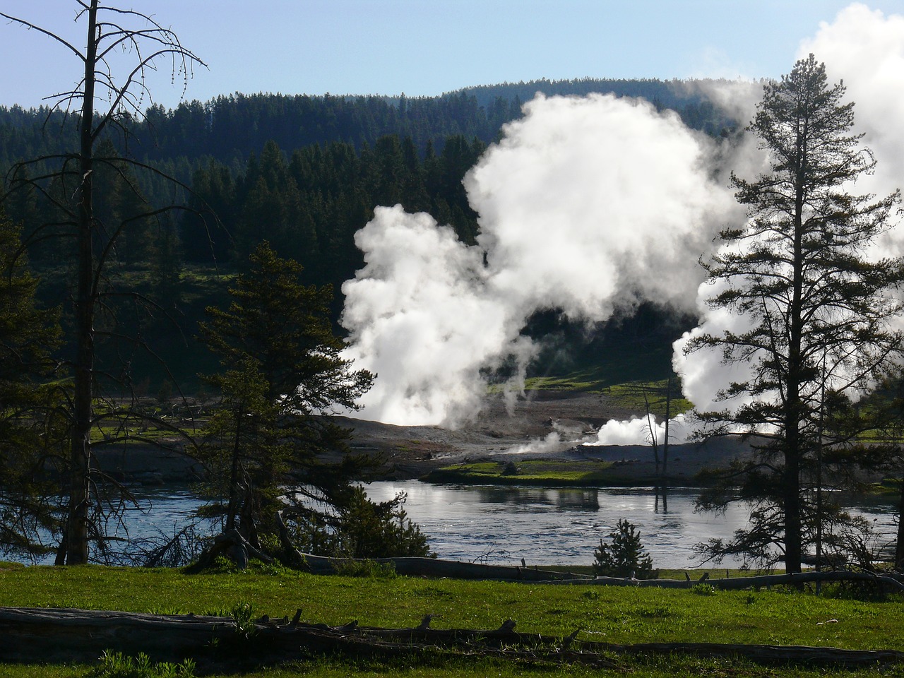 steam vent yellowstone national park yellowstone free photo