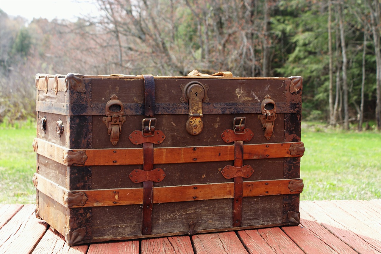 steamer trunk  trunk  luggage free photo