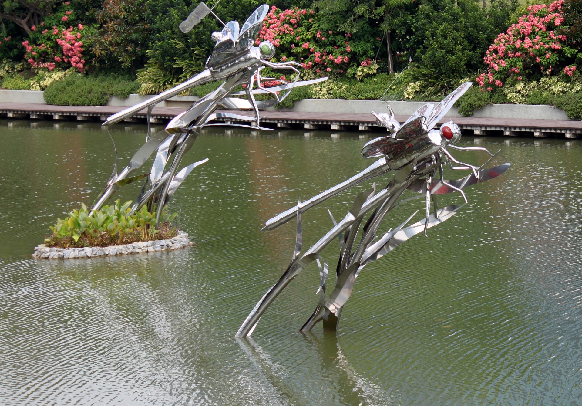 steel dragon fly lake giant dragonfly steel dragon fly on the lake free photo