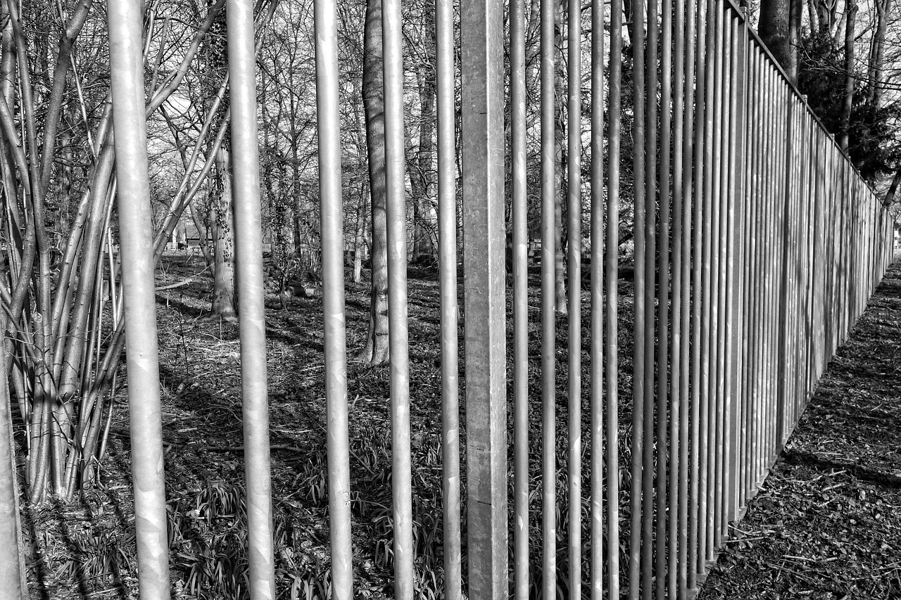 steel fence bars steel bars free photo