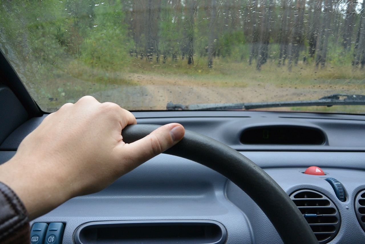 steering wheel forest road free photo