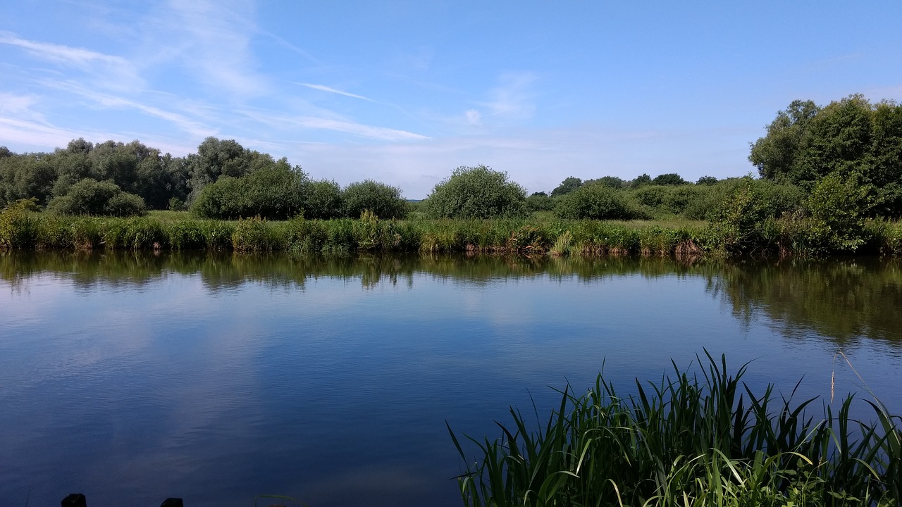 steinhude  water  landscape free photo