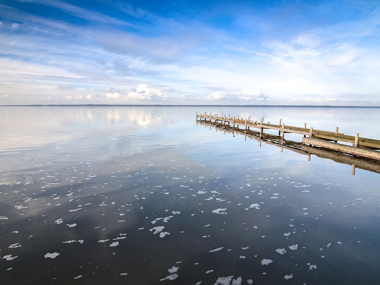 steinhuder sea sea water free photo