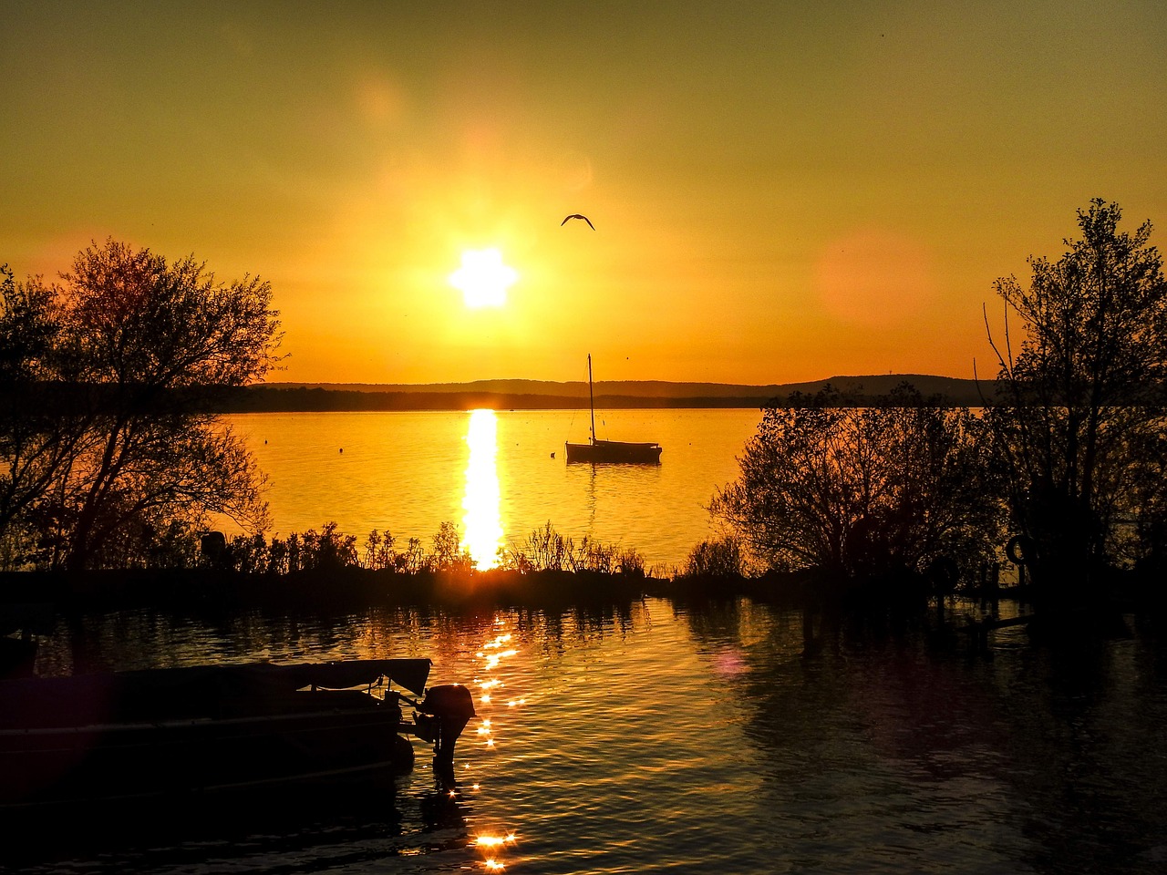 steinhuder sea sea landscape free photo