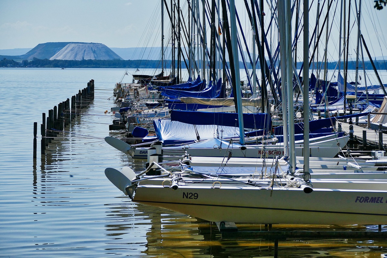 steinhuder sea  lake  sailing boats free photo