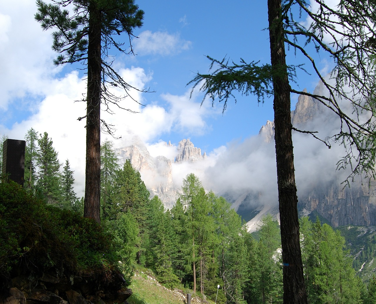 stem dolomites mountain free photo