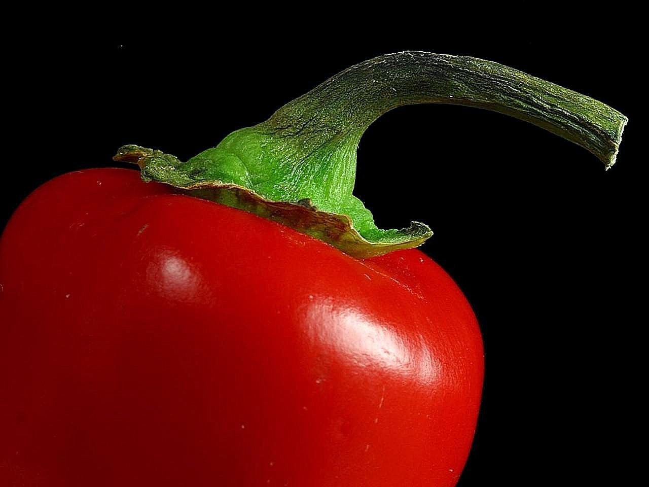 stems red peppers free photo