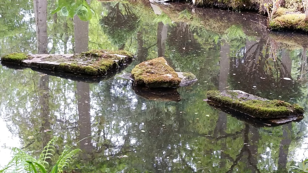 step stones water brook free photo