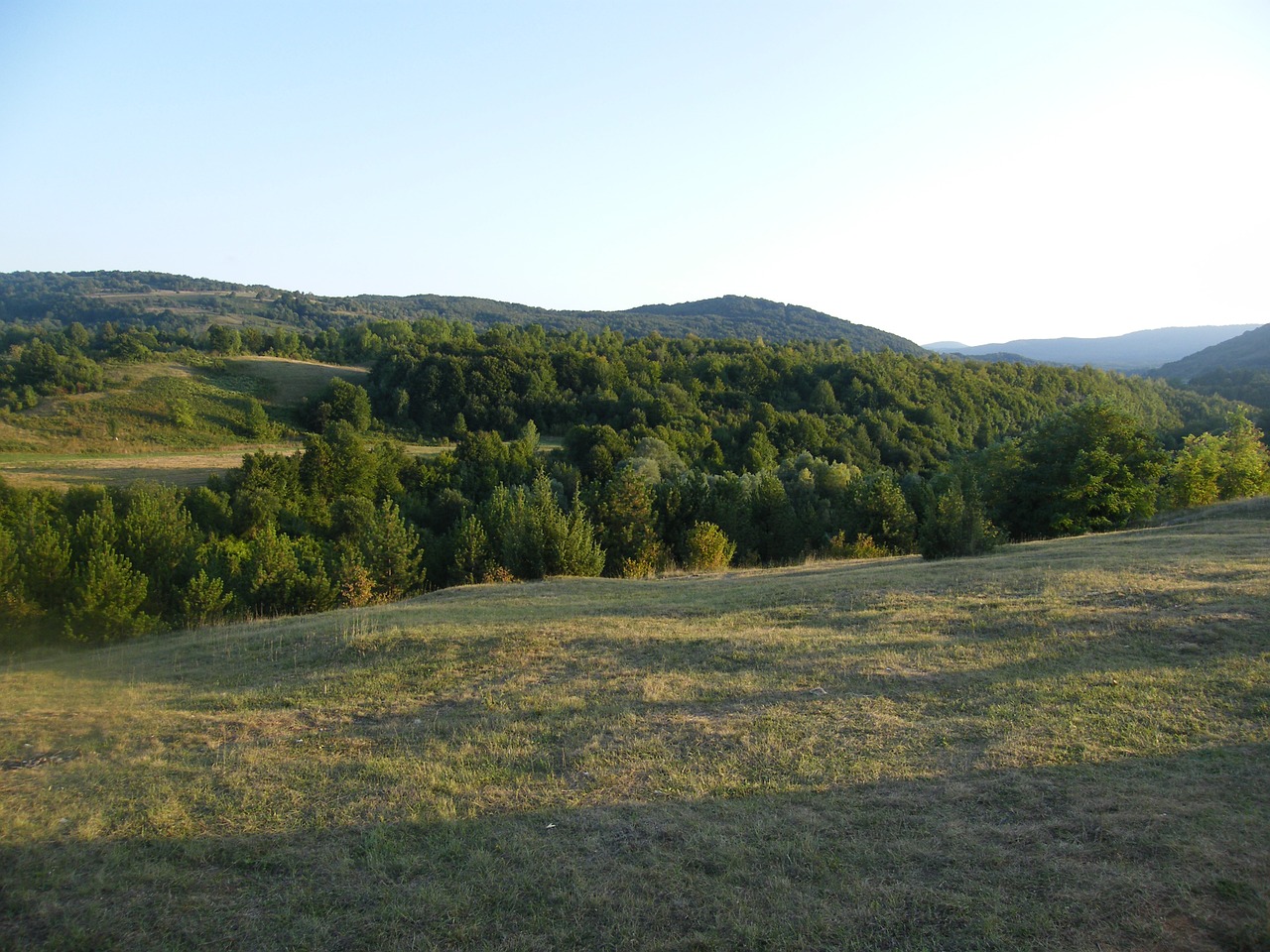 steppe meadow wide free photo