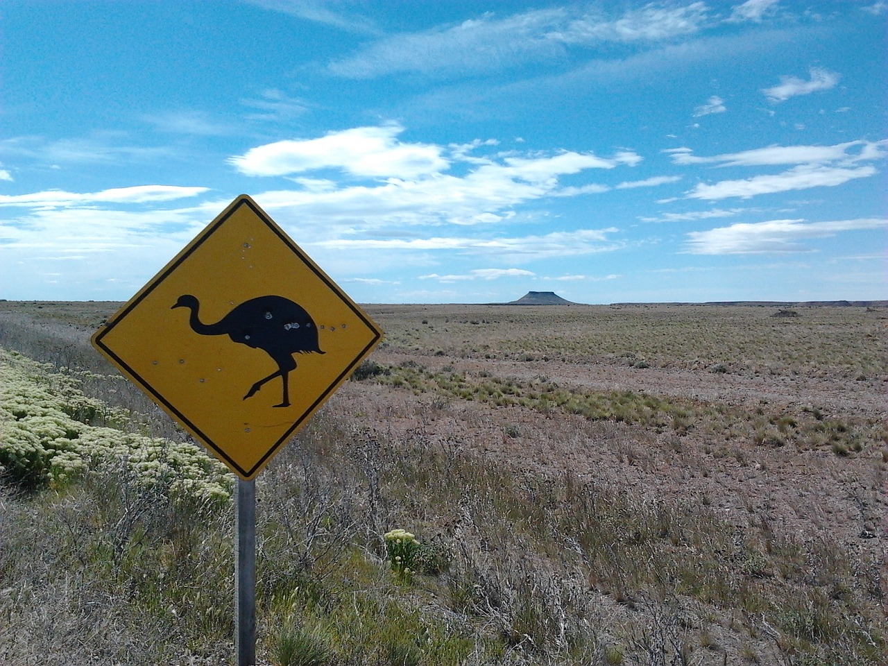 steppe patagonia signal transit free photo