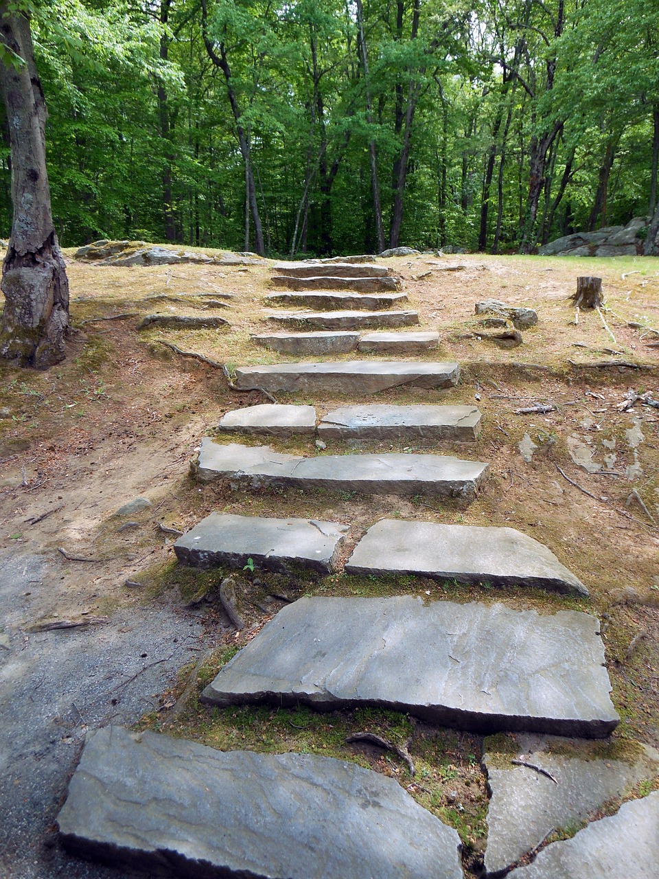 steps lincoln woods rhode island free photo