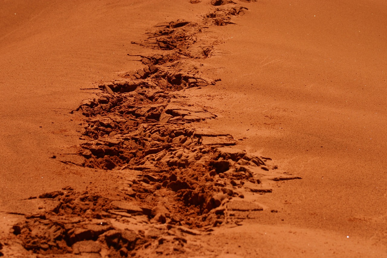 steps footsteps sand free photo