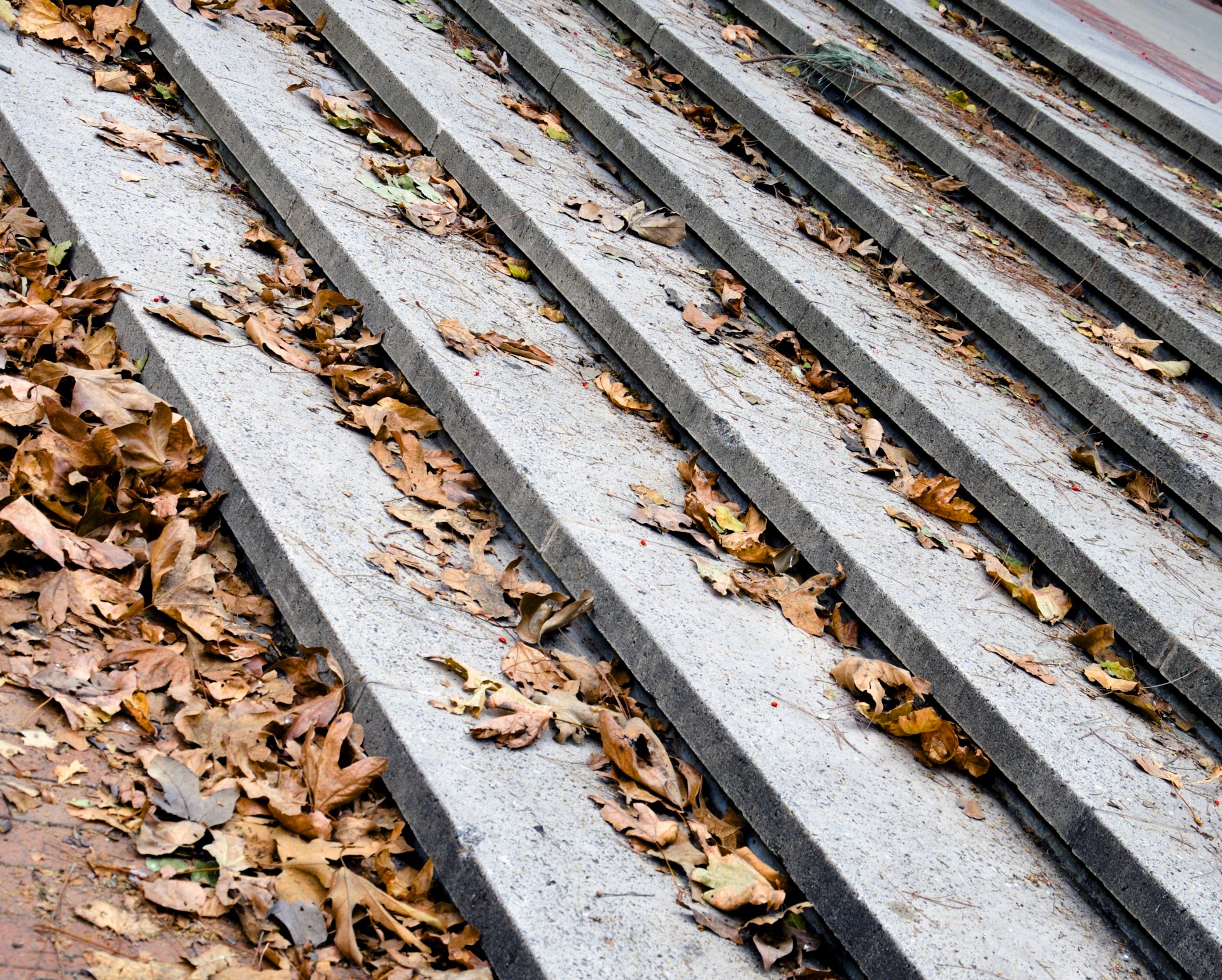 steps stairs cement free photo