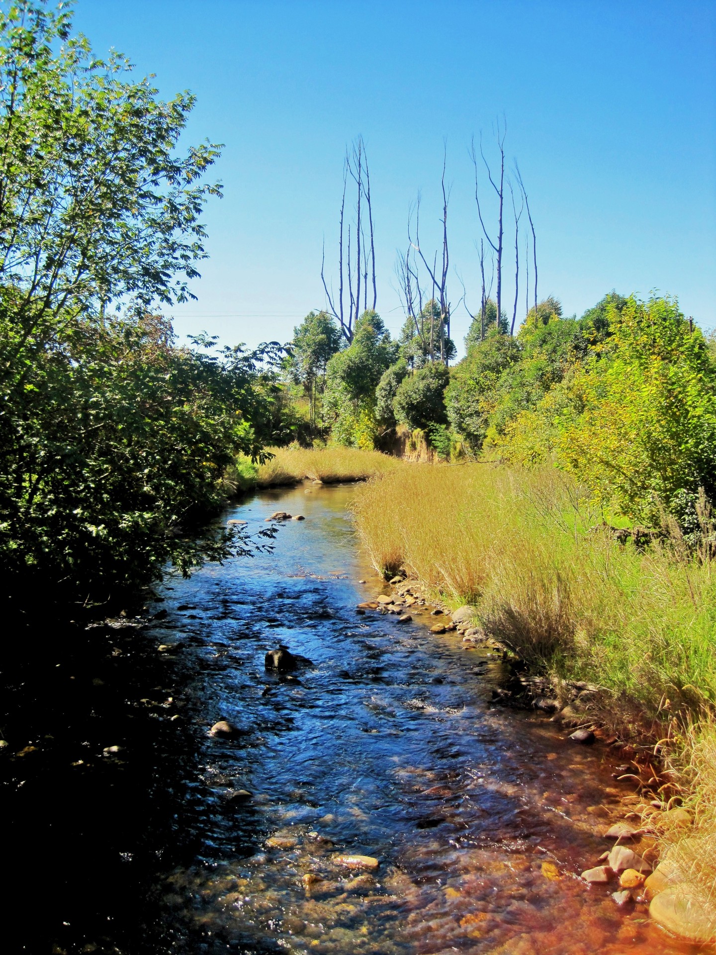 mountains river stream free photo