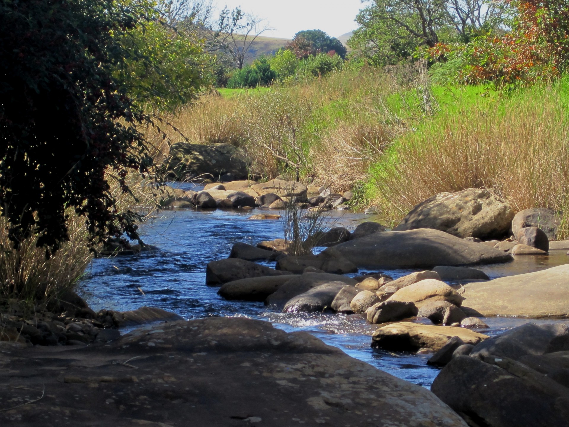 mountains river stream free photo