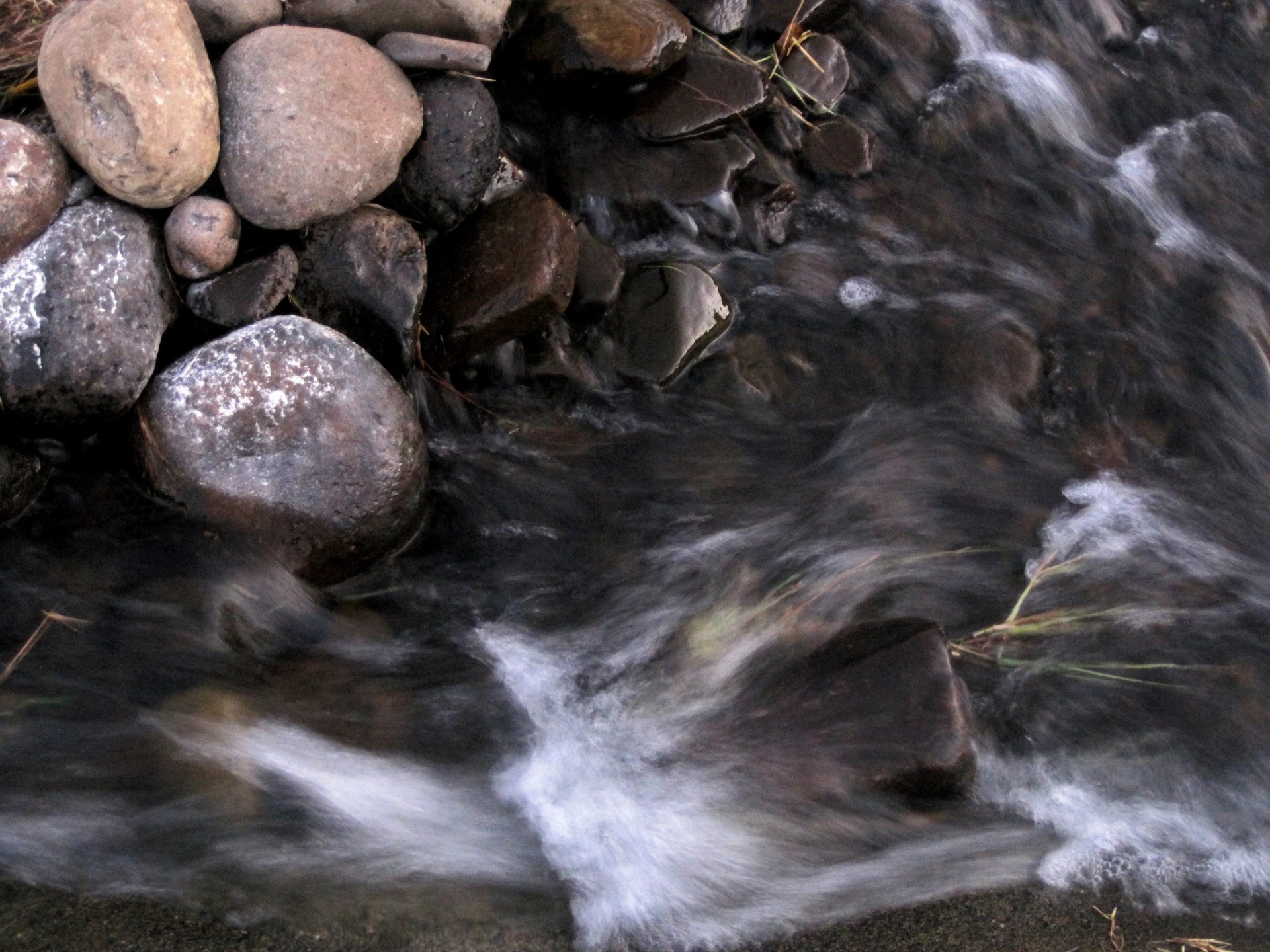 stream river water free photo