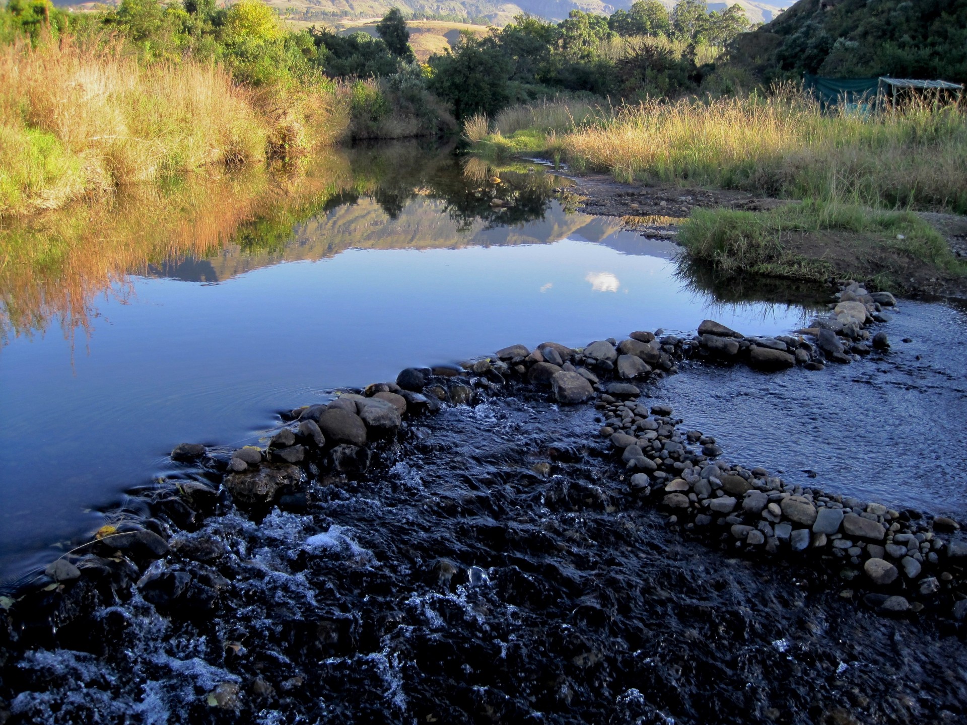 stream river water free photo