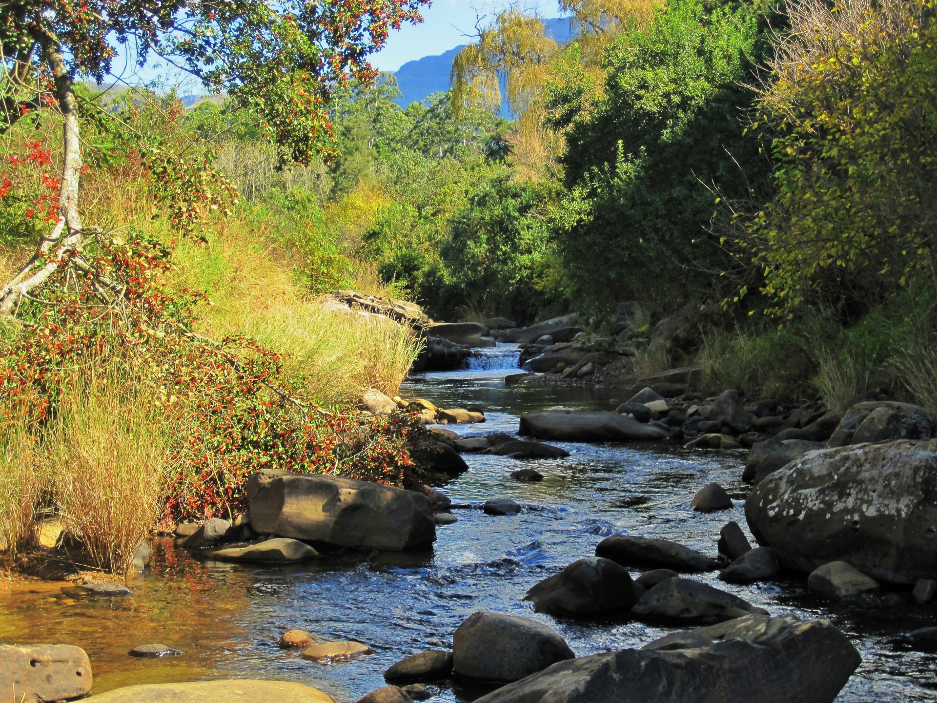 river water rocks free photo