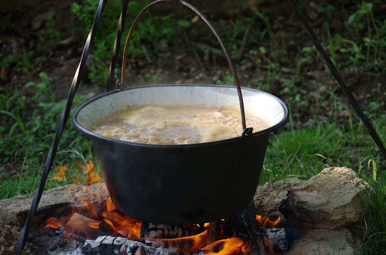 stew  soup  picnic free photo