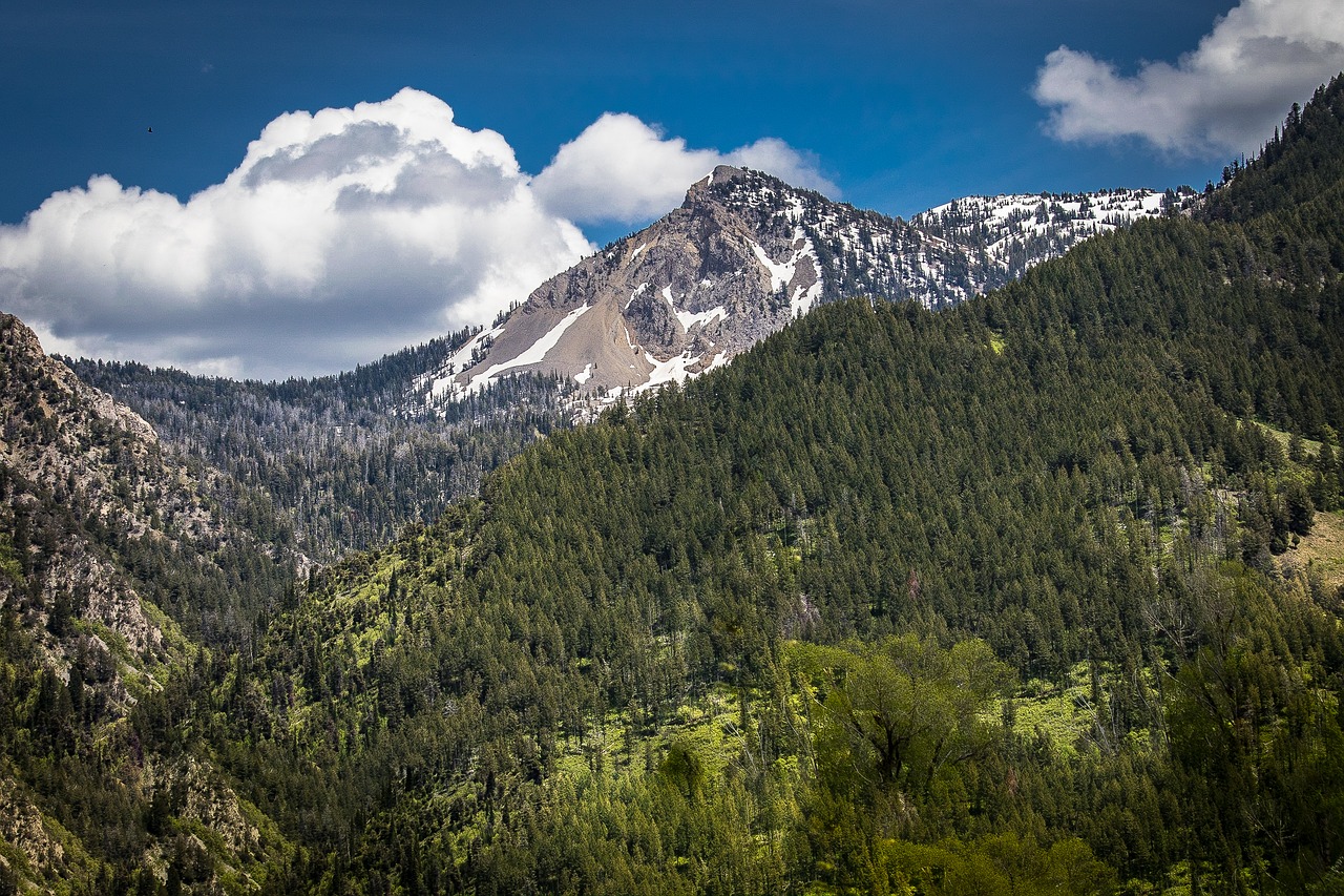 stewart peak mountains wyoming free photo