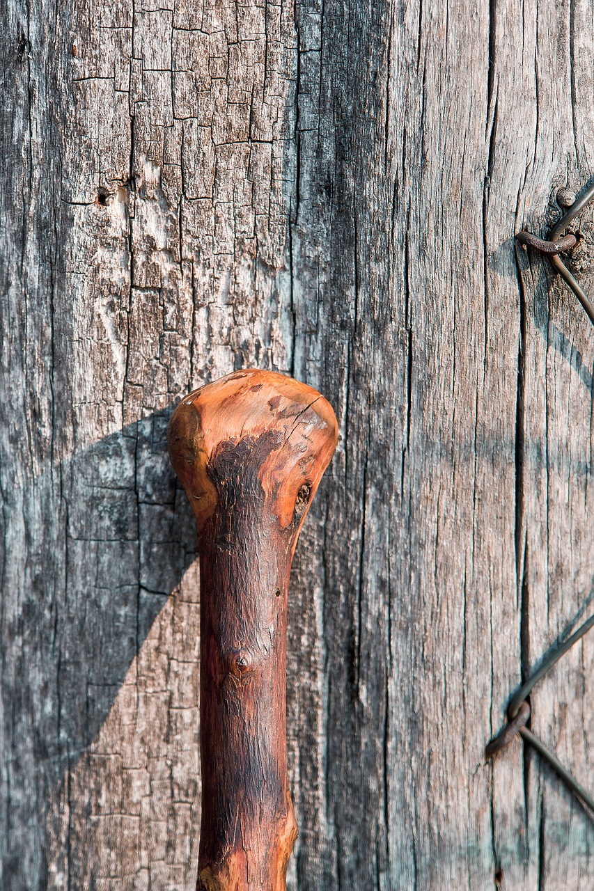 stick wood natural free photo