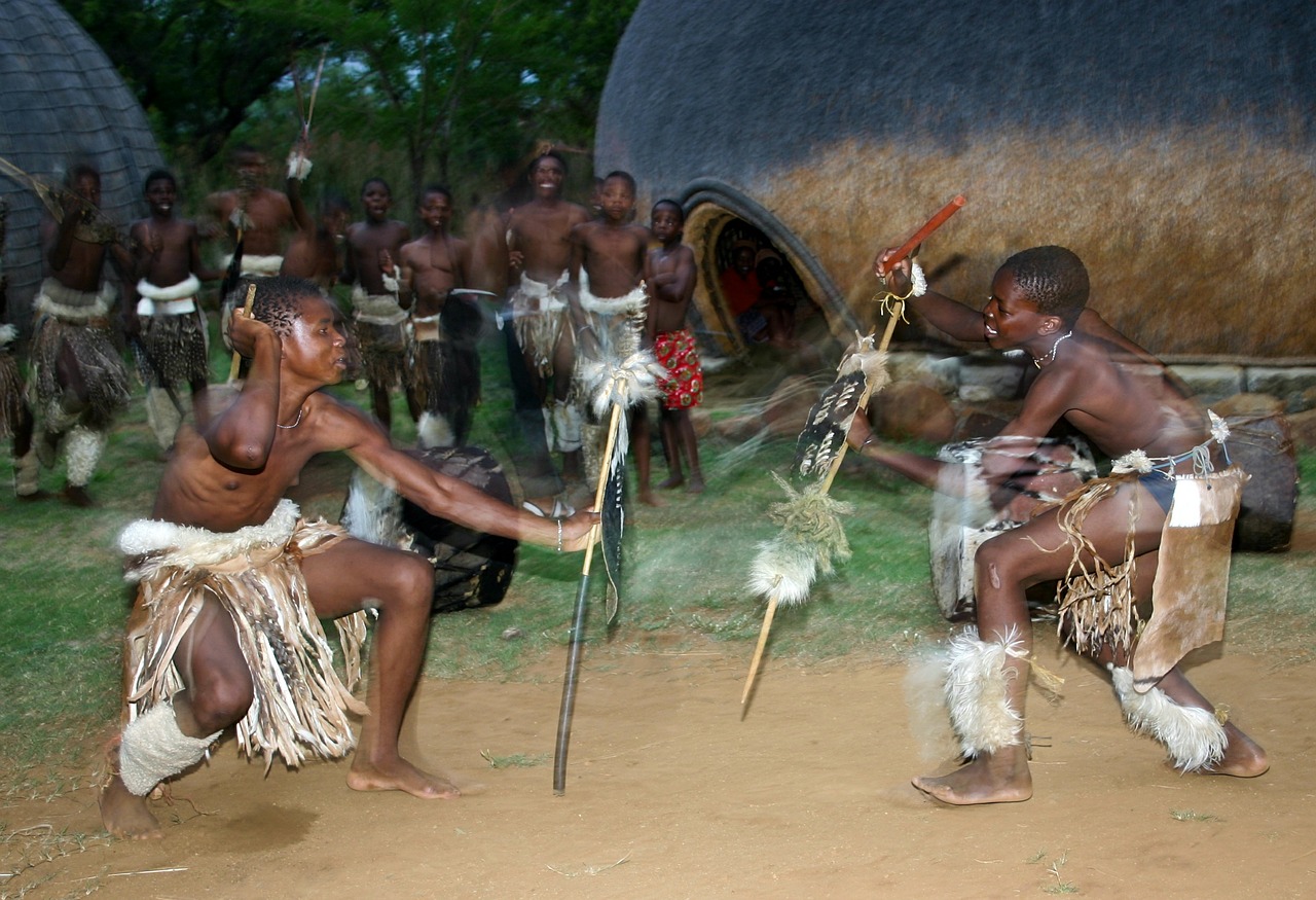stick fight zulu dancers hide shields free photo