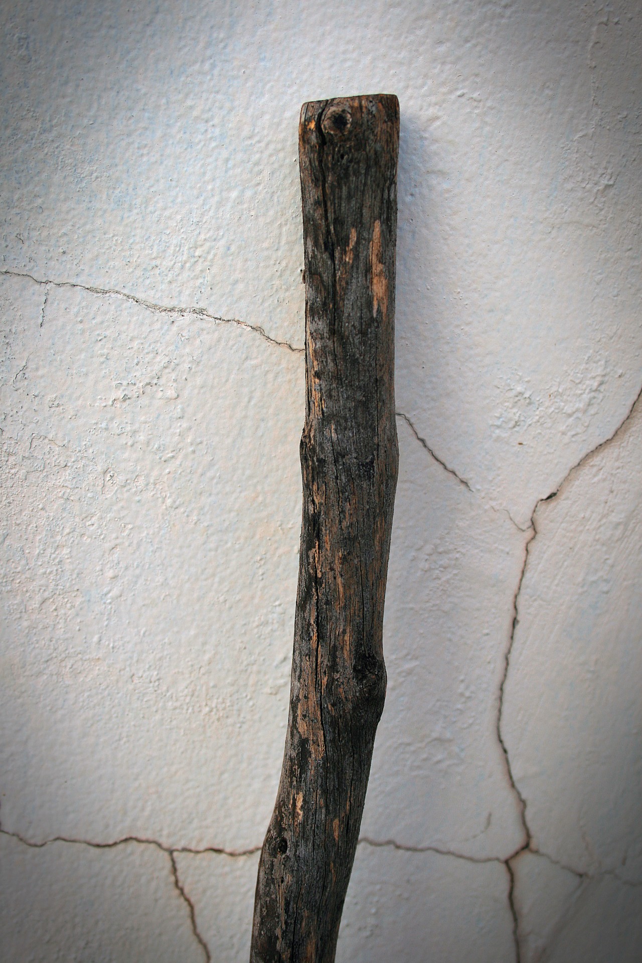 stick wood handle free photo