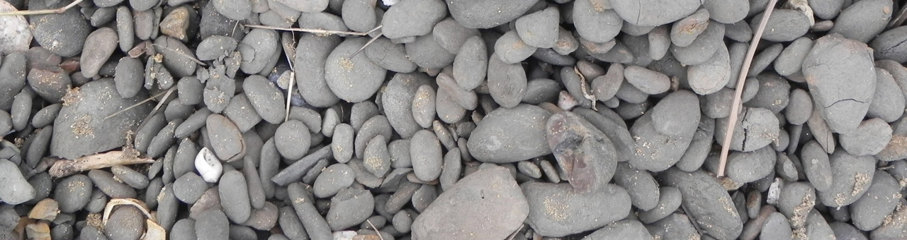 beach sticks stones free photo