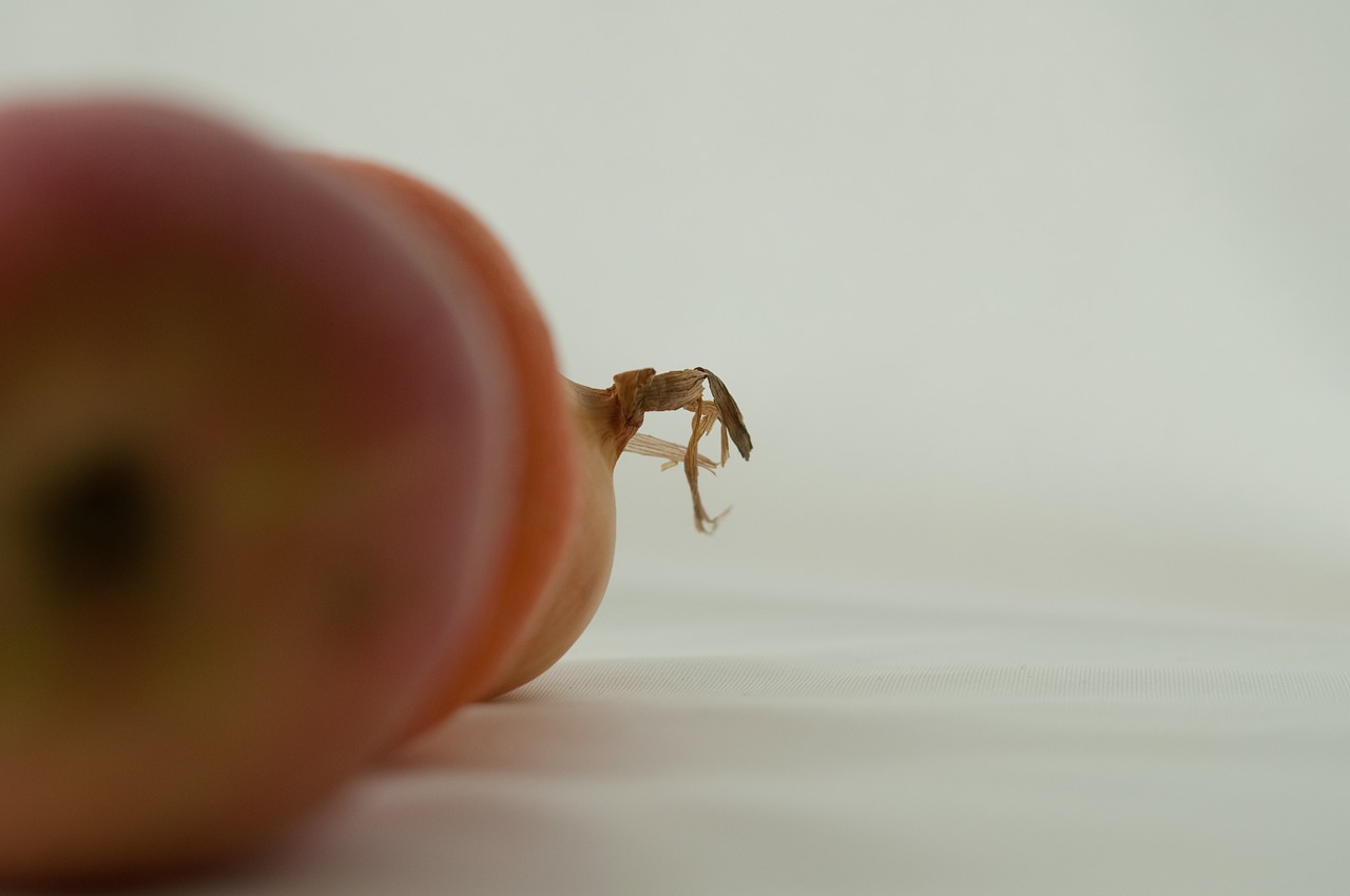 still  life  apples free photo