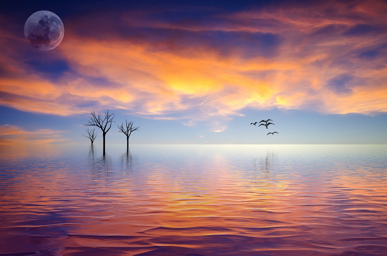 still  calm  tranquil free photo