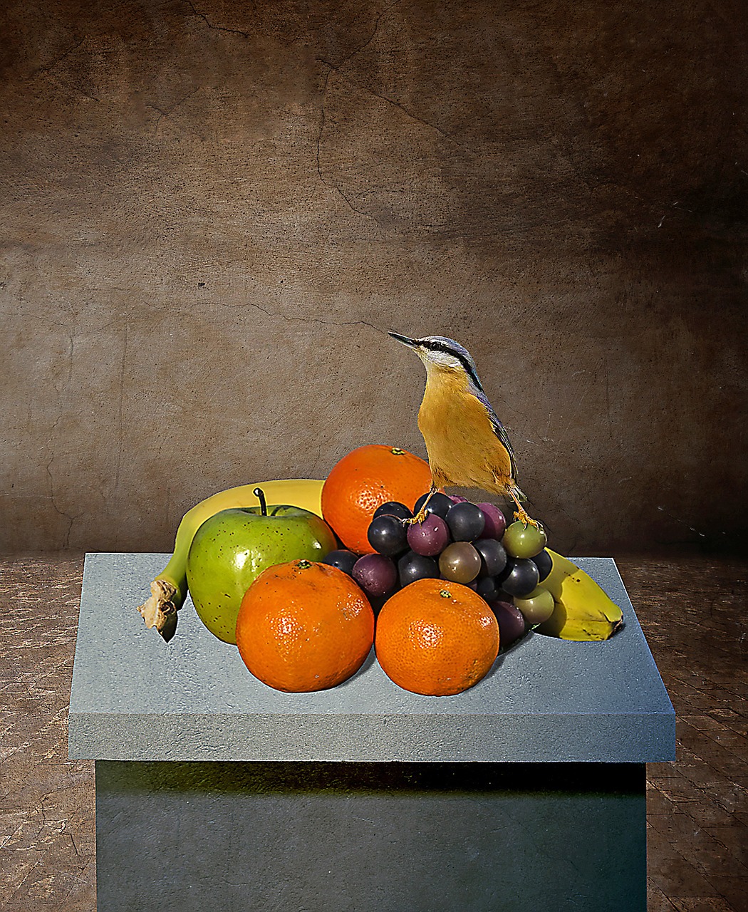 still life fruits bird free photo