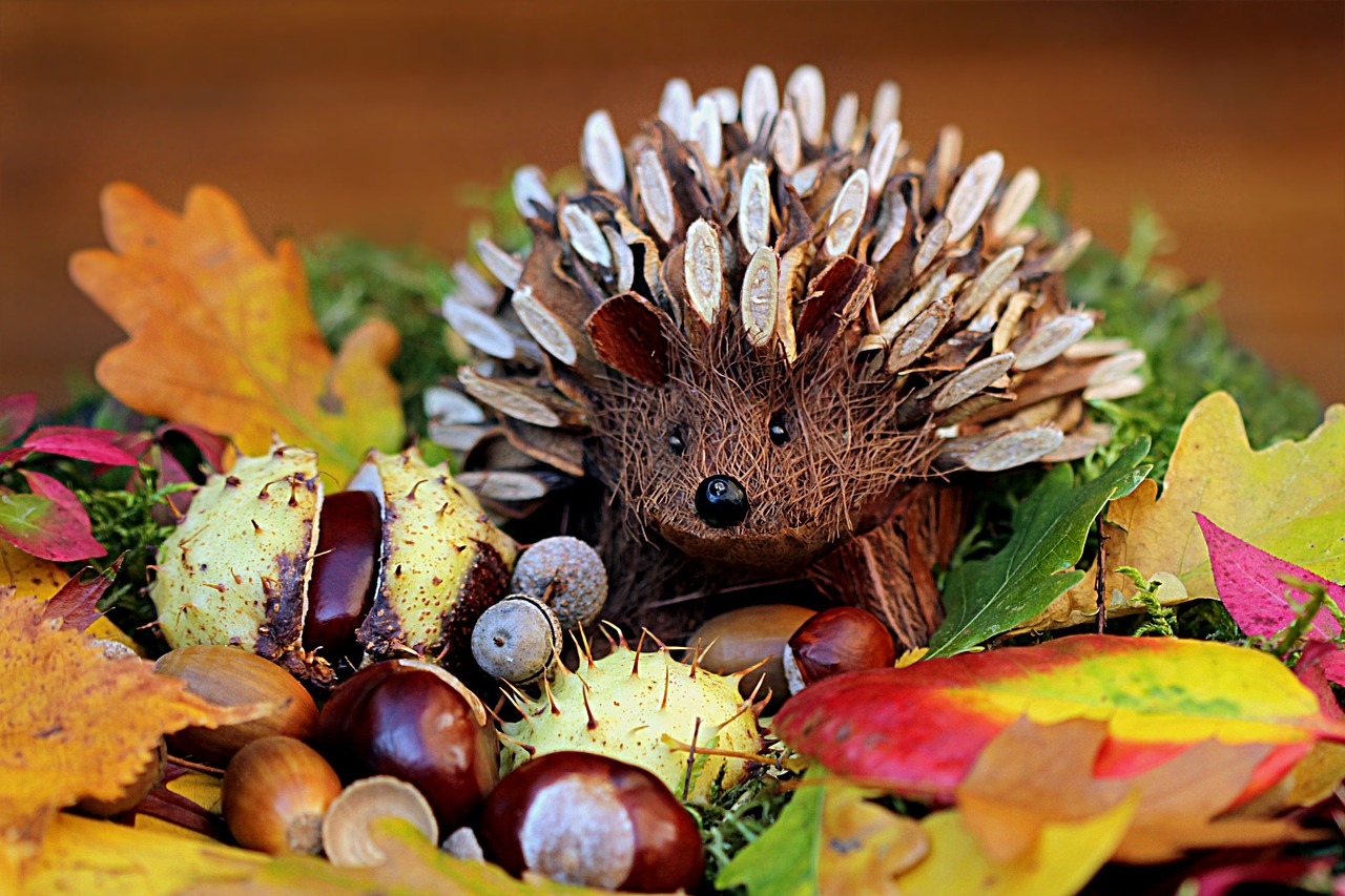 still life hedgehog decoration free photo