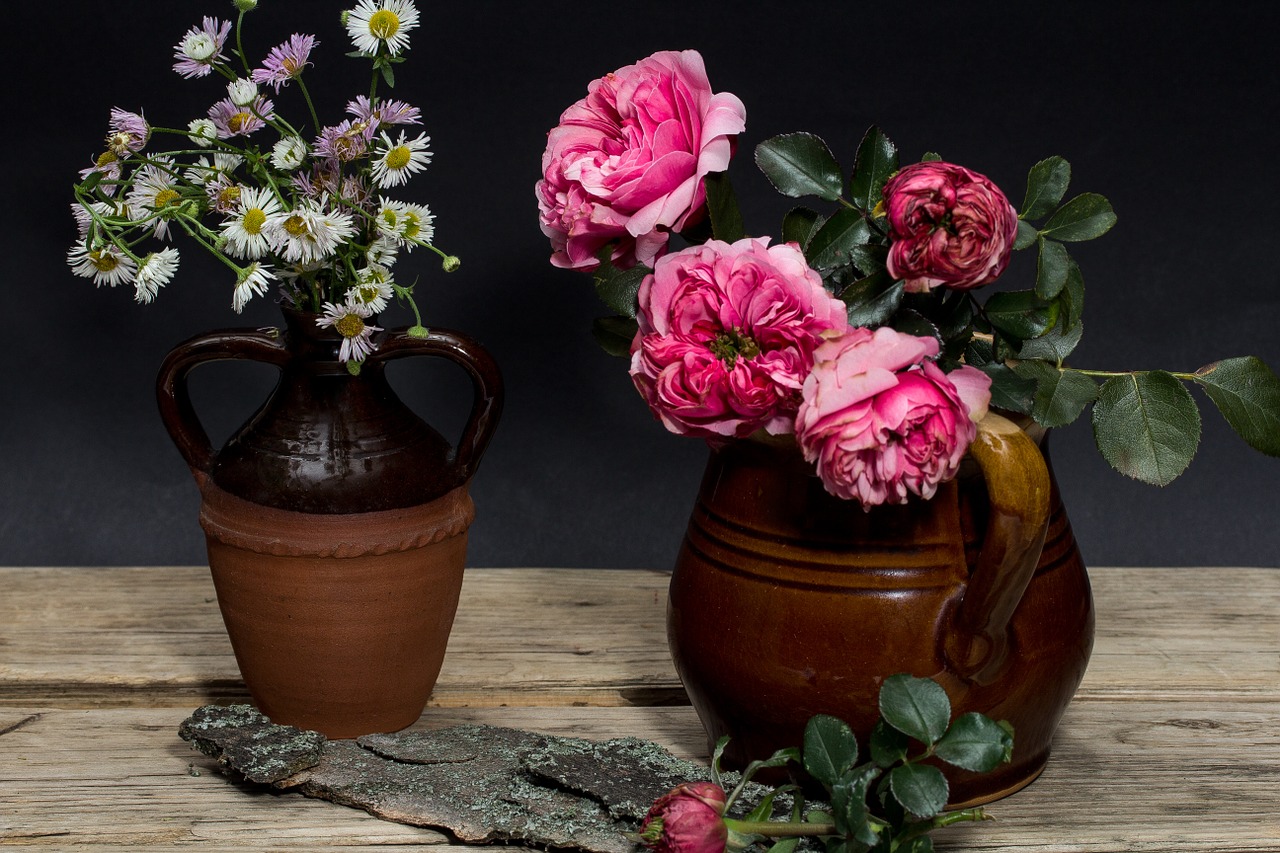 still life flowers roses free photo