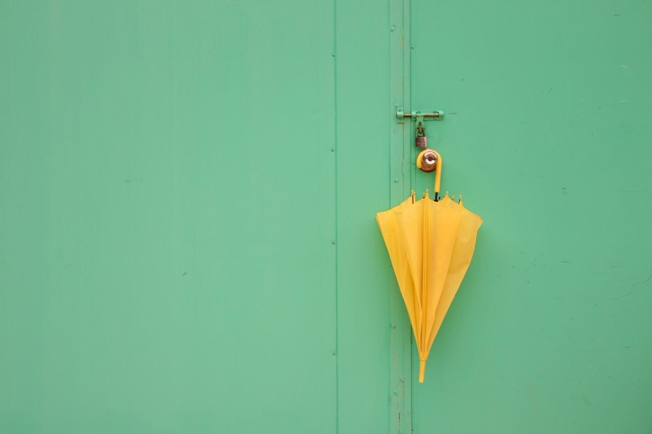 still life umbrella color free photo