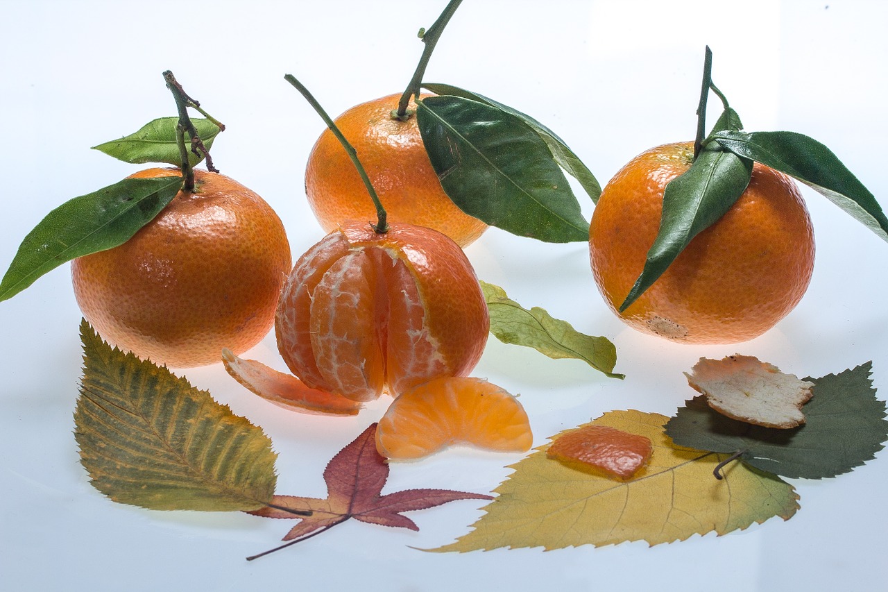 still life tangerines food free photo