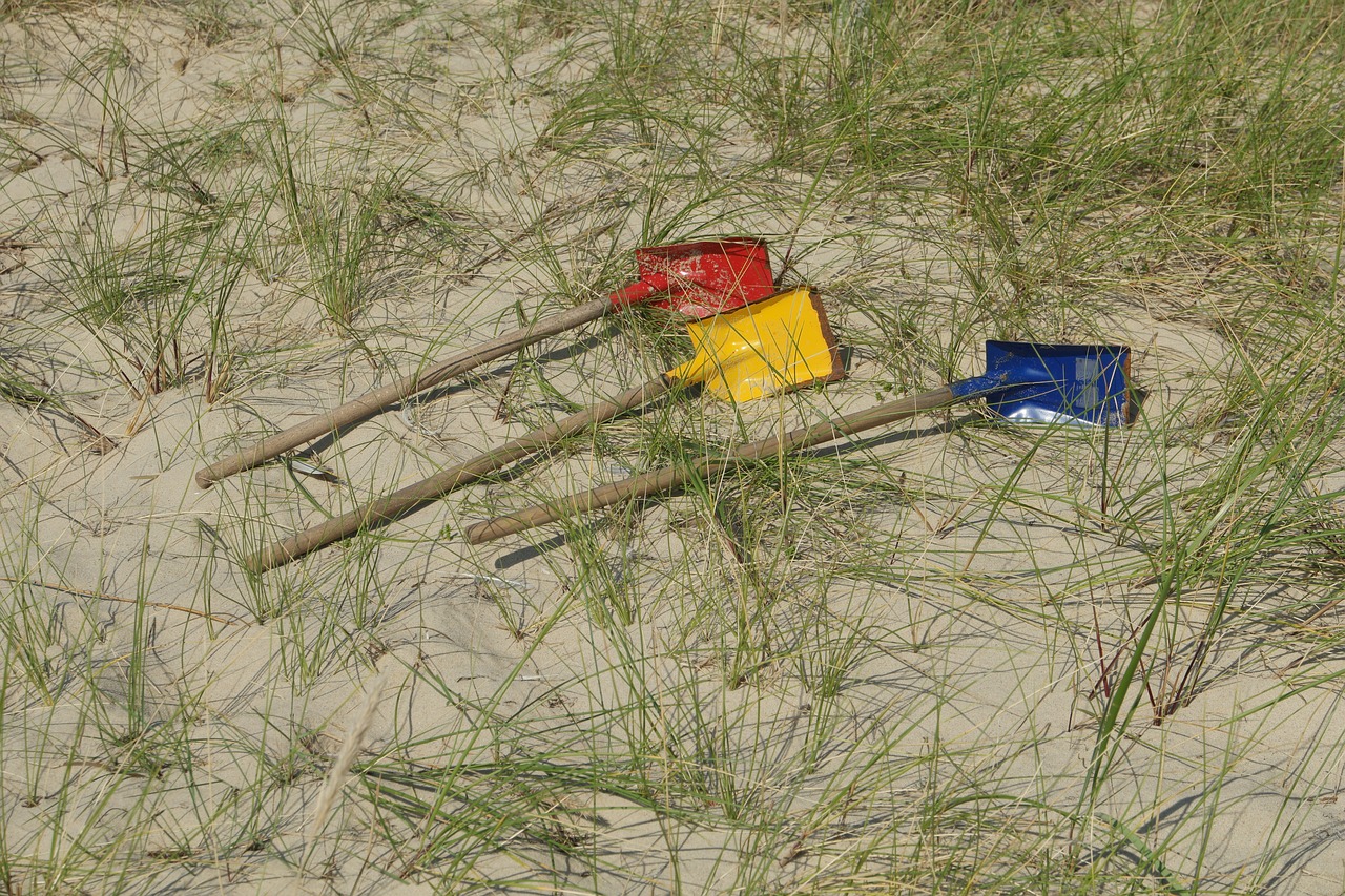 still life beach sea free photo