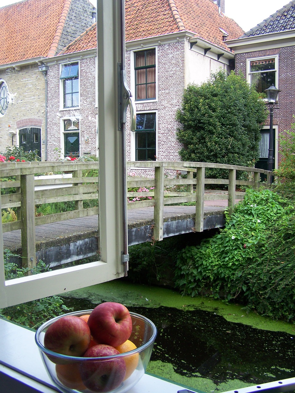 still life farmhouse window free photo