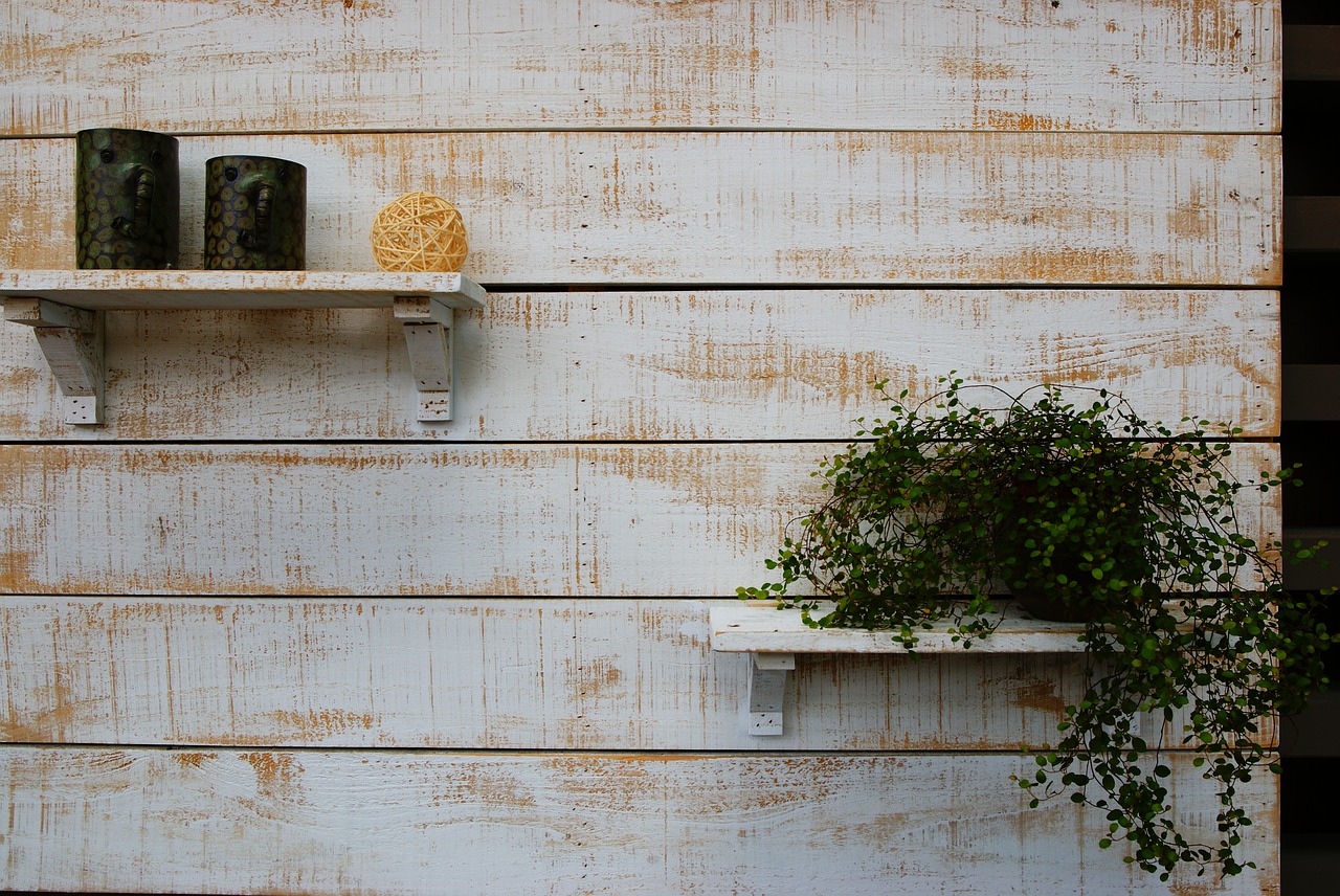 still life potted plants planting free photo