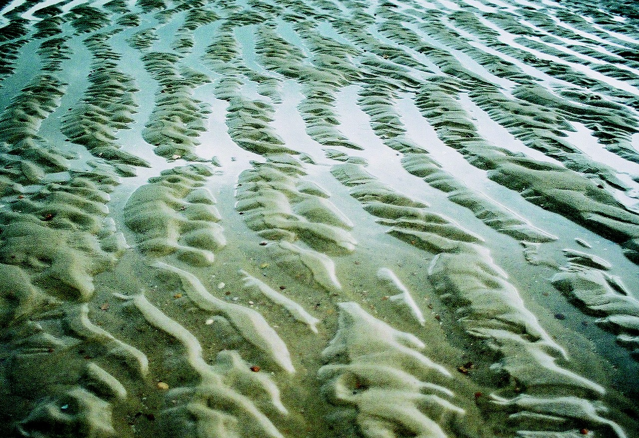 still life beach sea free photo