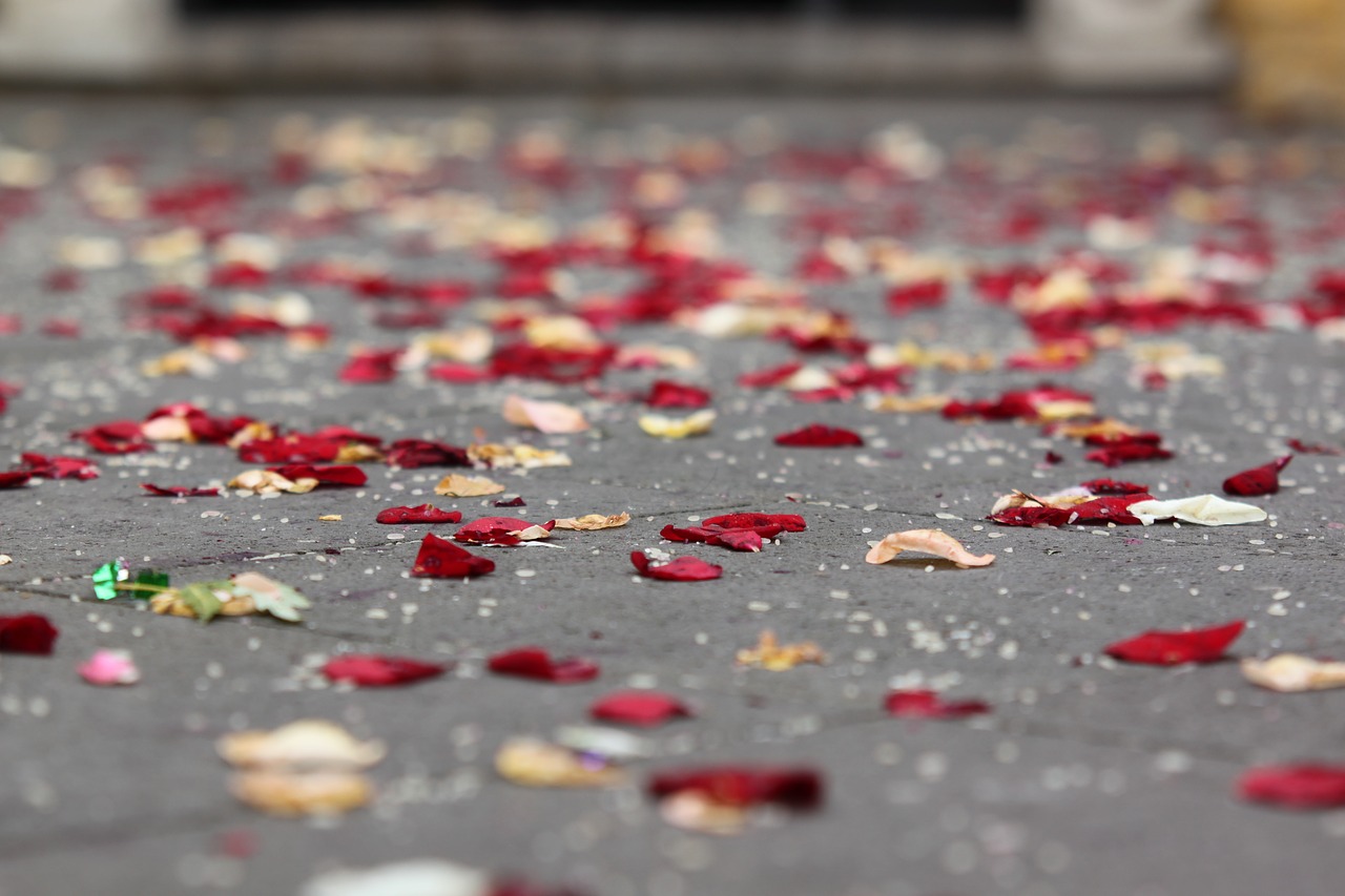 still life wedding rice free photo