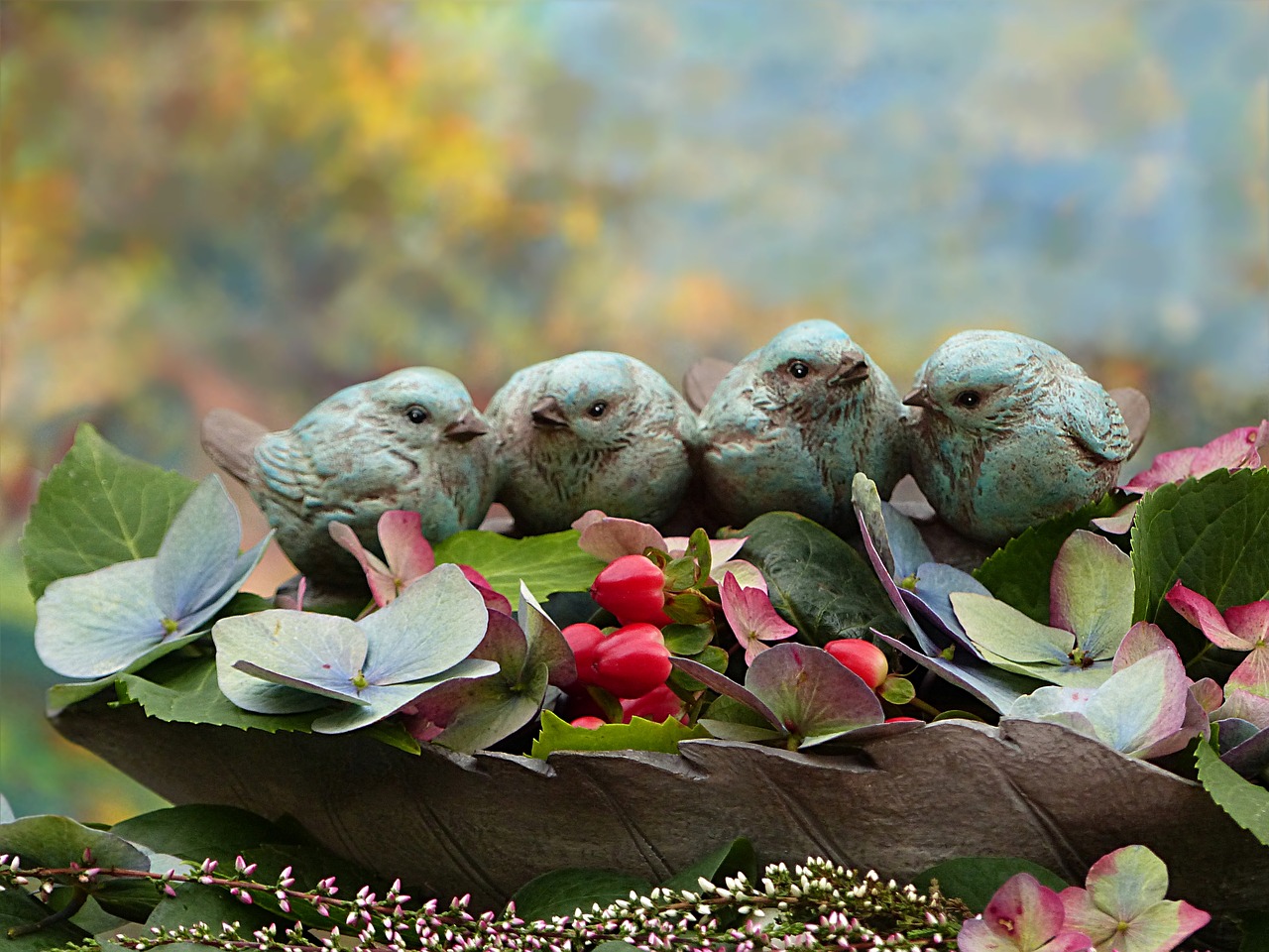 still life autumn birds free photo